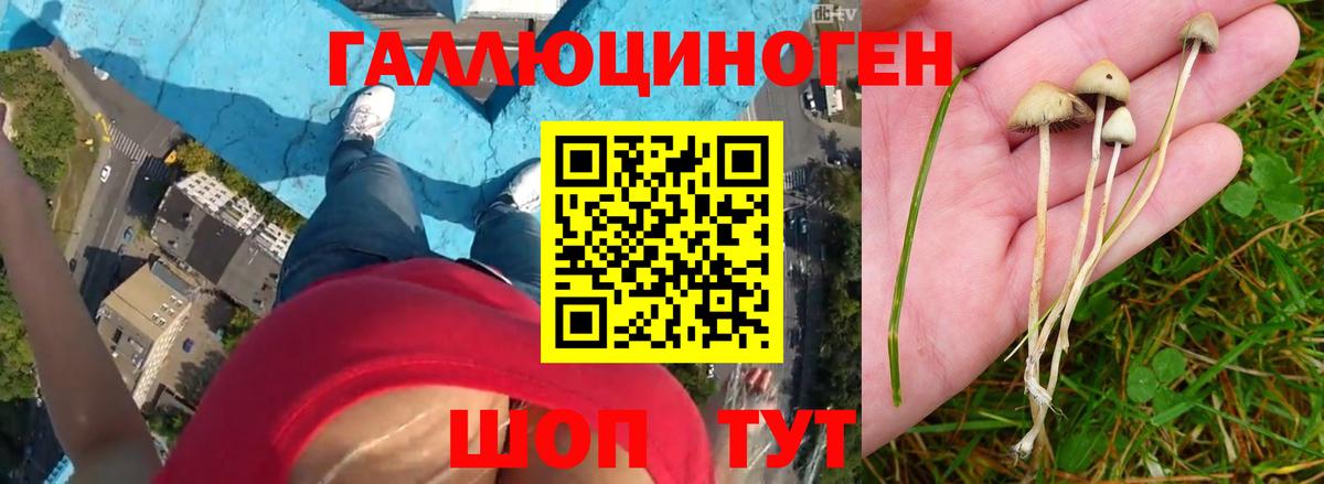 Галлюциногенные грибы мицелий Богородск